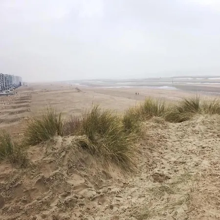 Near Belgian Coast With Sea View Διαμέρισμα