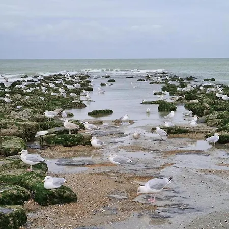 Near Belgian Coast With Sea View Διαμέρισμα