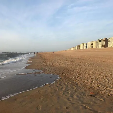 Near Belgian Coast With Sea View * Koksijde
