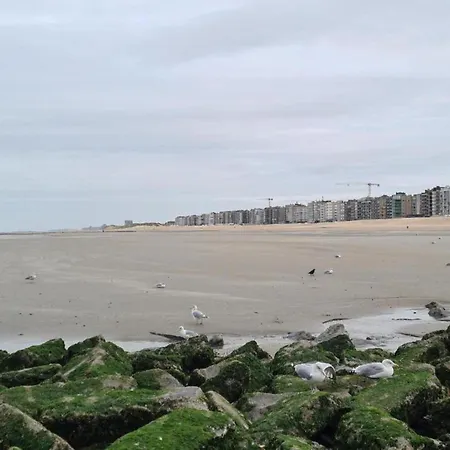 Near Belgian Coast With Sea View *